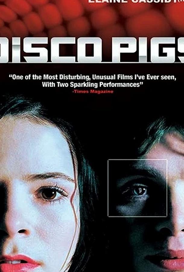 Дискосвиньи 2001 Смотреть Онлайн Бесплатно в Хорошем Качестве